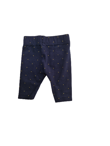 Corsaire bleu à pois dorés  1 mois