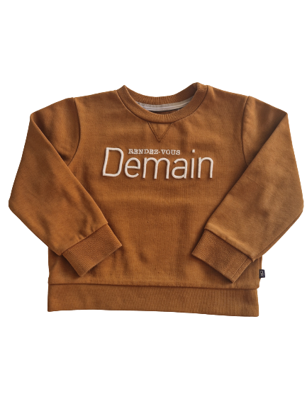 Sweat marron 4 ans