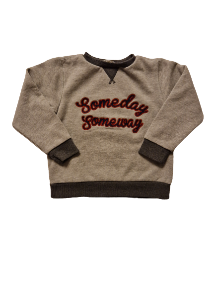 Vente de v tements d occasion sweat enfant gar on 6 ans pas cher