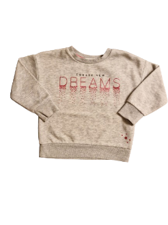 Sweat gris 4-5 ans
