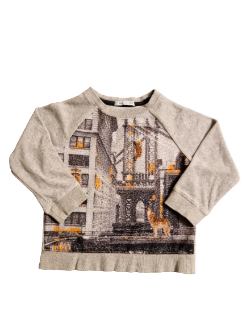 Sweat gris en velours 3 ans