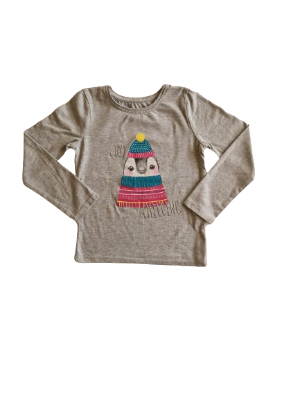 Tee-shirt gris manches longues 5-6 ans