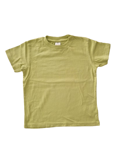 Tee-shirt vert anis 5 ans